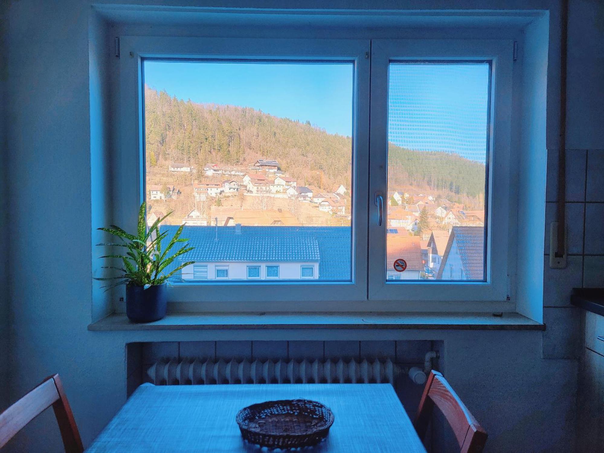 Privates Zimmer In Unterkunft Mit Glatttal Blick In Wasserschloss Nahe 索兹阿奈卡 外观 照片